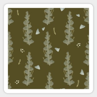 Knifeleaf Wattle Leaves Olive Sticker